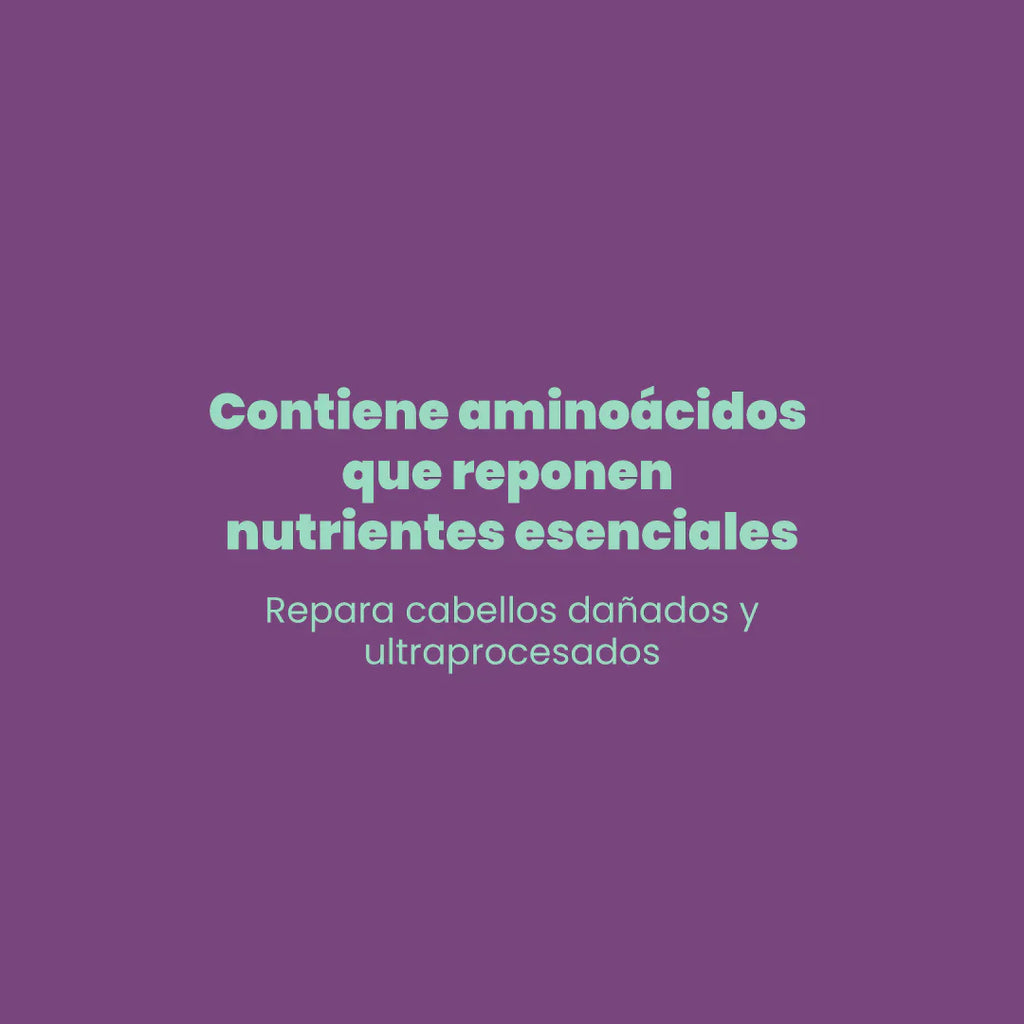 TRATAMIENTO REPOLARIZADOR INTENSIVO ANYEPLEX 205ML ANYELUZ