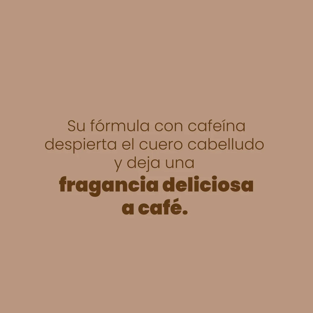 SHAMPOO CON CAFÉ 500ML ANYELUZ