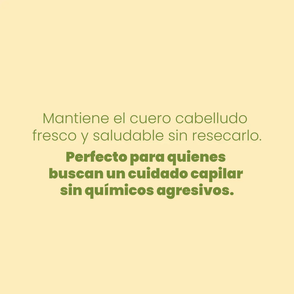 SHAMPOO MANZANILLA 500ML ANYELUZ